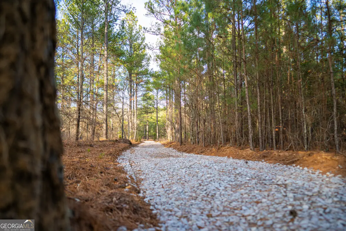 3 Smith Rocky Branch Road, Carlton, GA 30627 - #1