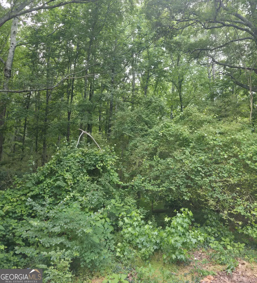 270 Cora Lou Lane, Winder, GA 30680 - #2