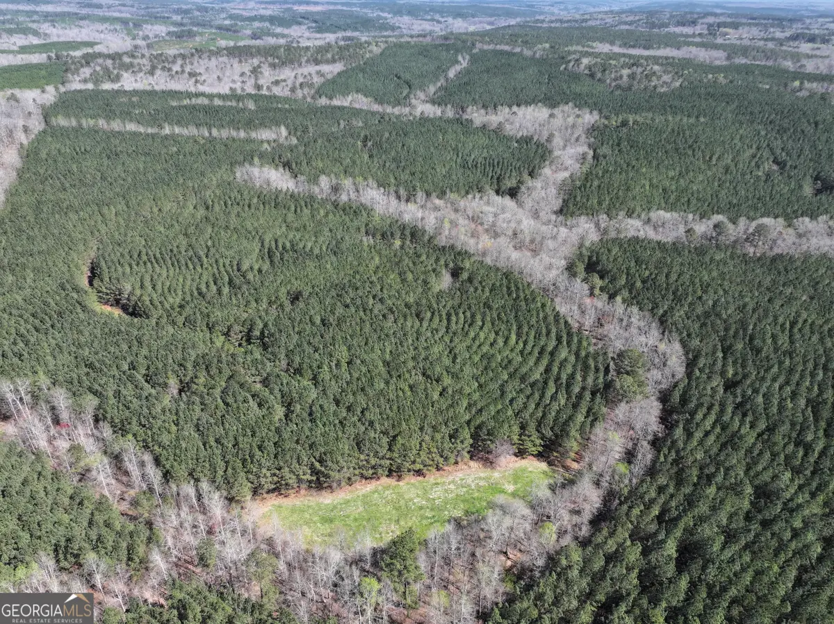 257 +/- Acres On Ridgeway Road, Franklin, GA 30217 - #1