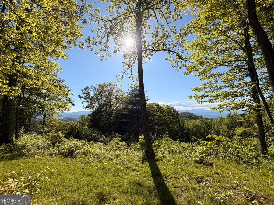0 Rr 1622, Scaly Mountain, NC 28775 - #2
