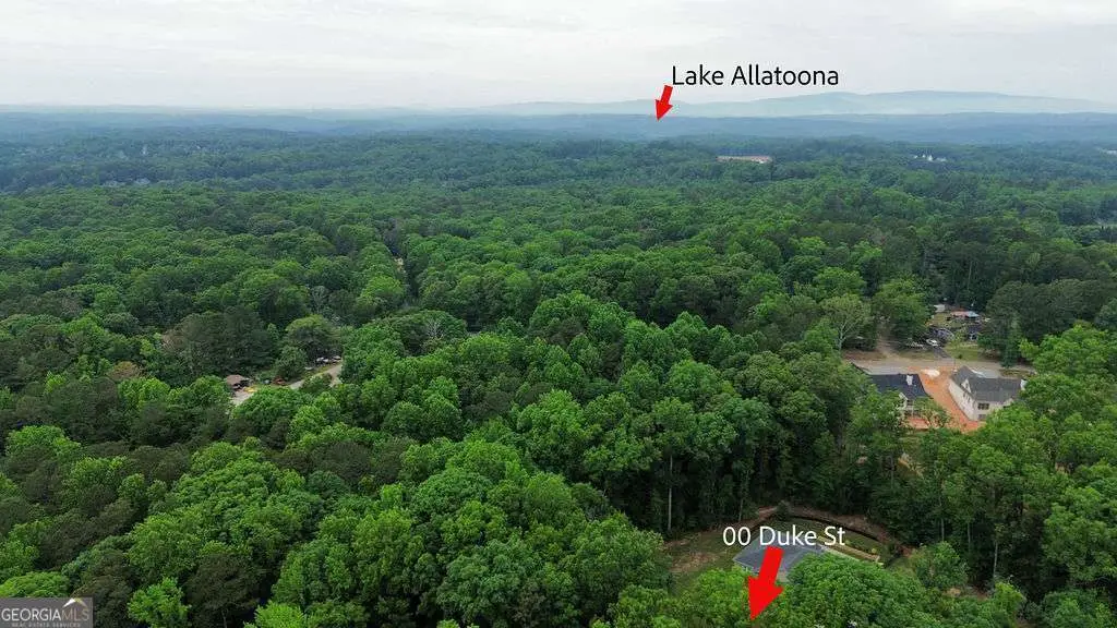 00 Duke Street, Canton, GA 30114 - #1