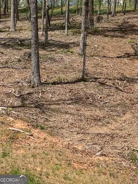 LOT #6 Lake Top, Ellijay, GA 30540 - #3