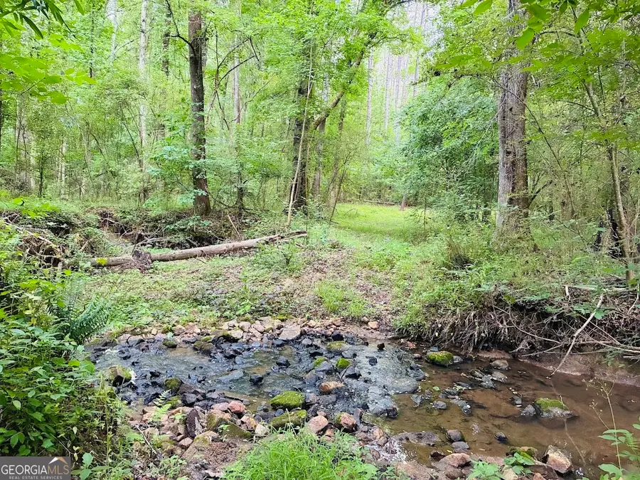 0 Caldwell Road #TRACT B1, Gay, GA 30218 - #2
