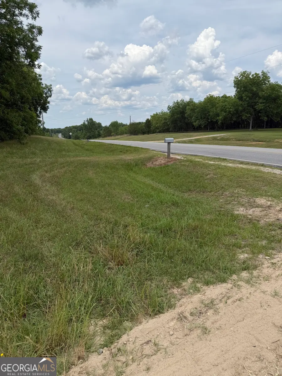 0 Tennille Harrison Road, Tennille, GA 31089 - #2