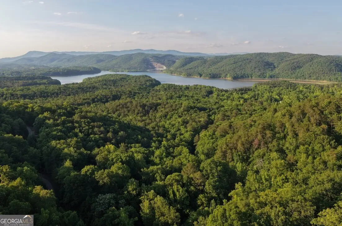 115 Carters Overlook, Ranger, GA 30734 - #1