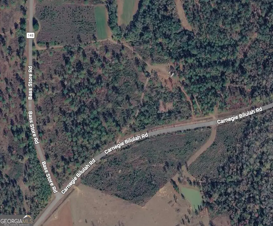 50 Harvest Road, Coleman, GA 39836 - #3