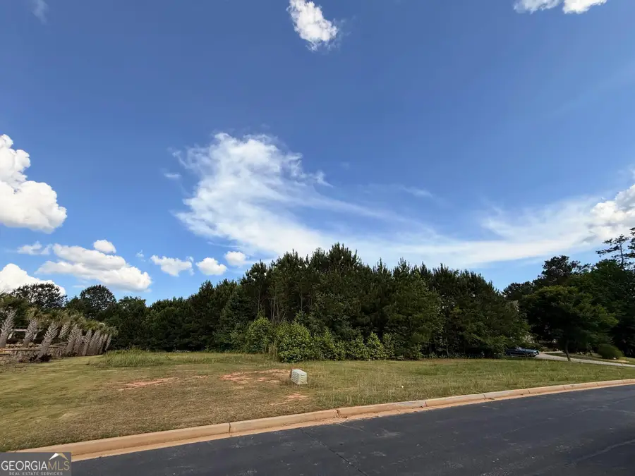 420 Vinings Walk, Fayetteville, GA 30214 - #3