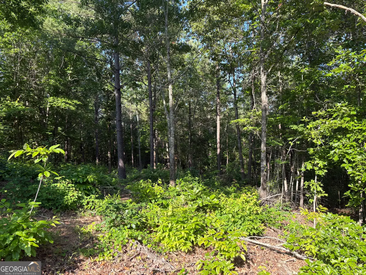 0 Anna Claire Court #LOT 11, Monticello, GA 31064 - #1