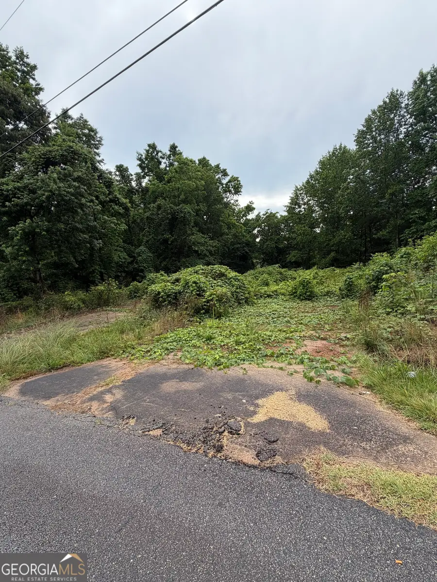 2936 Bridge Drive, Gainesville, GA 30506 - #3