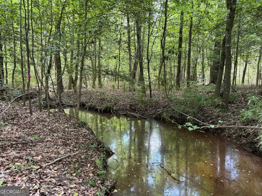 010 Long Branch Rd, Toomsboro, GA 31090 - #2