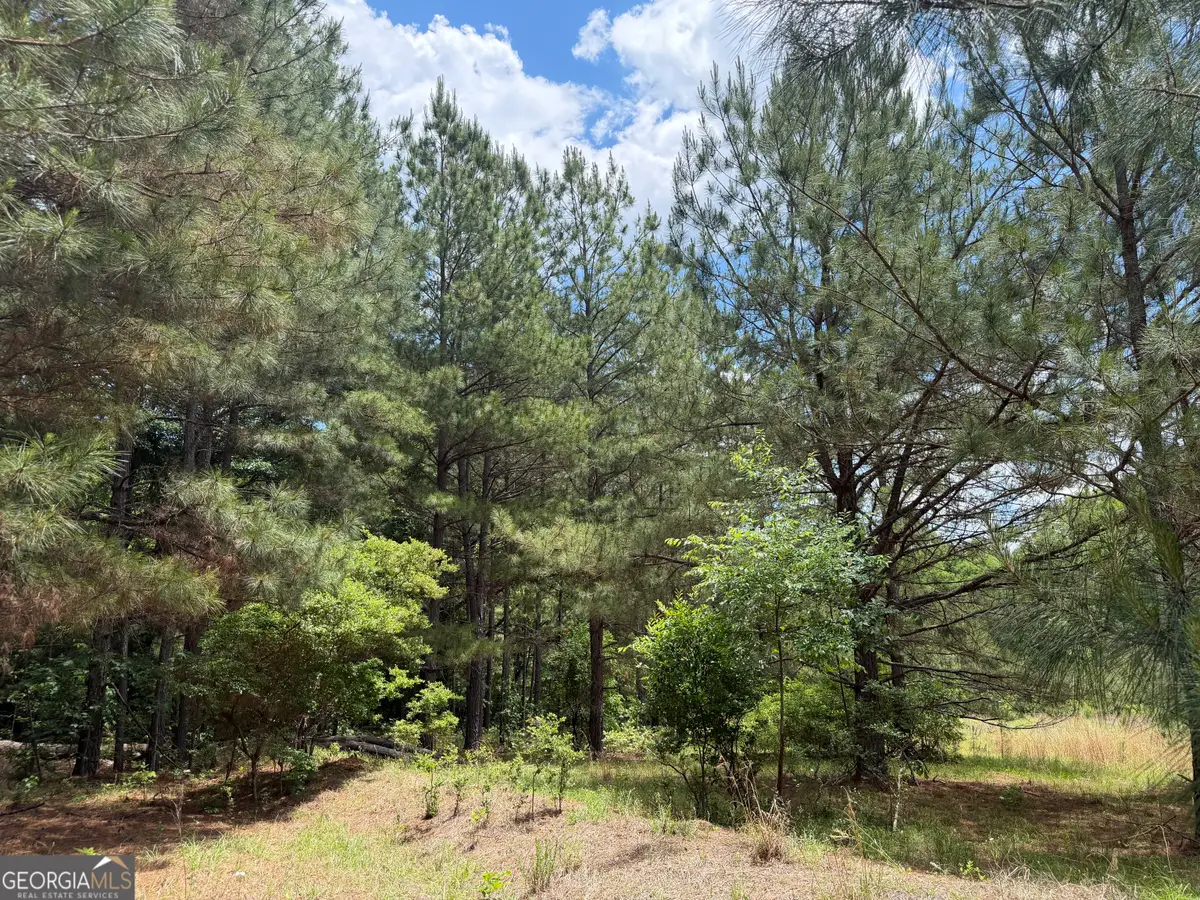 008 George Milling Rd, Toomsboro, GA 31090 - #1