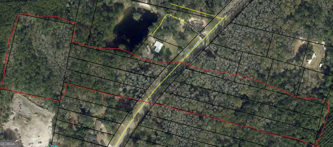 0 Youngman Road, Townsend, GA 31331 - #1