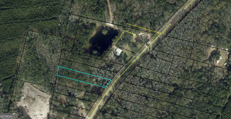 0 Youngman Road, Townsend, GA 31331 - #2