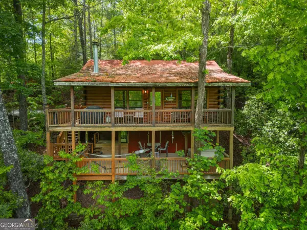 203 Mountain View Drive, Cherry Log, GA 30522