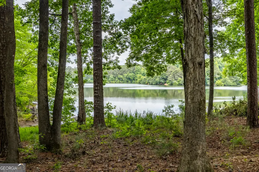 1003 Mickleton Lane, Peachtree City, GA 30269 - #3