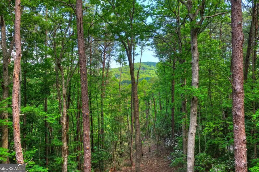 328 Crabapple Drive, Blue Ridge, GA 30513 - #3