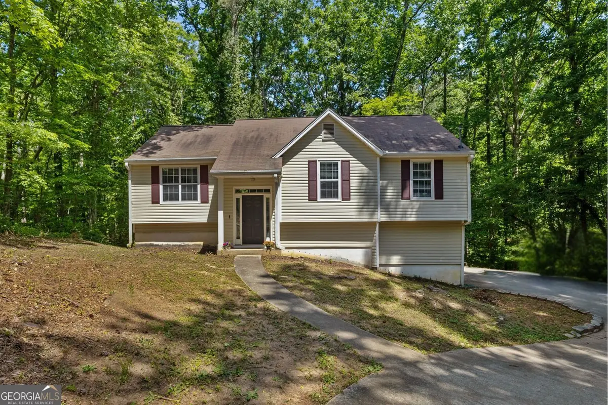 3138 Skyler Court, Douglasville, GA 30135 - #1