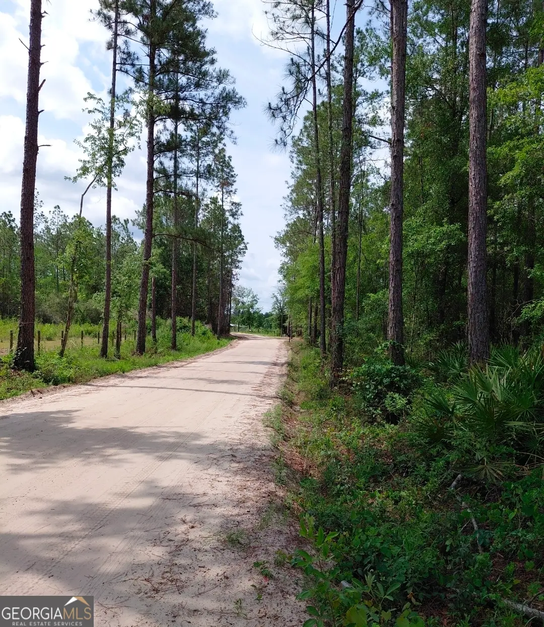 339 Doc Rider Road, Folkston, GA 31537 - #1