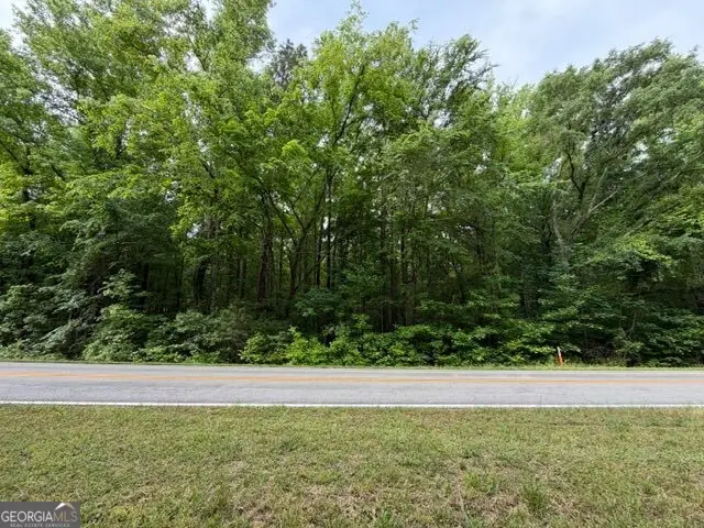0 Hawkins Academy Rd, Social Circle, GA 30025 - #2