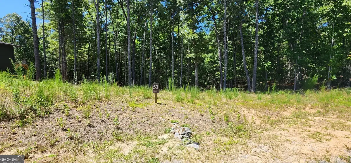 51 Ridge Drive, Morganton, GA 30560 - #1