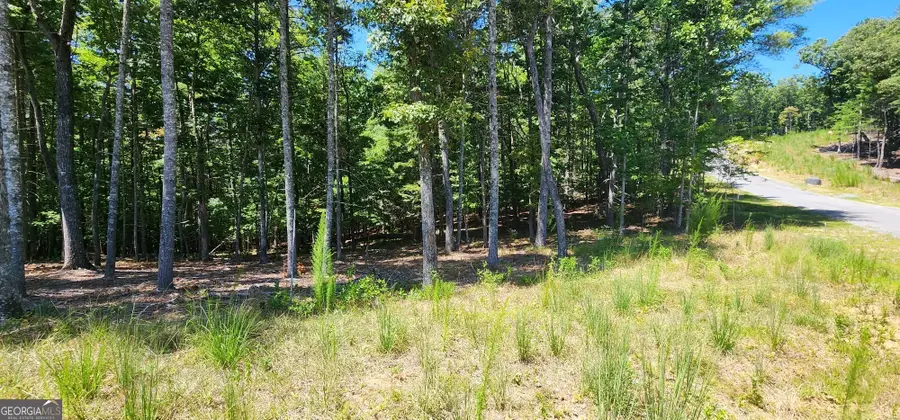 51 Ridge Drive, Morganton, GA 30560 - #3