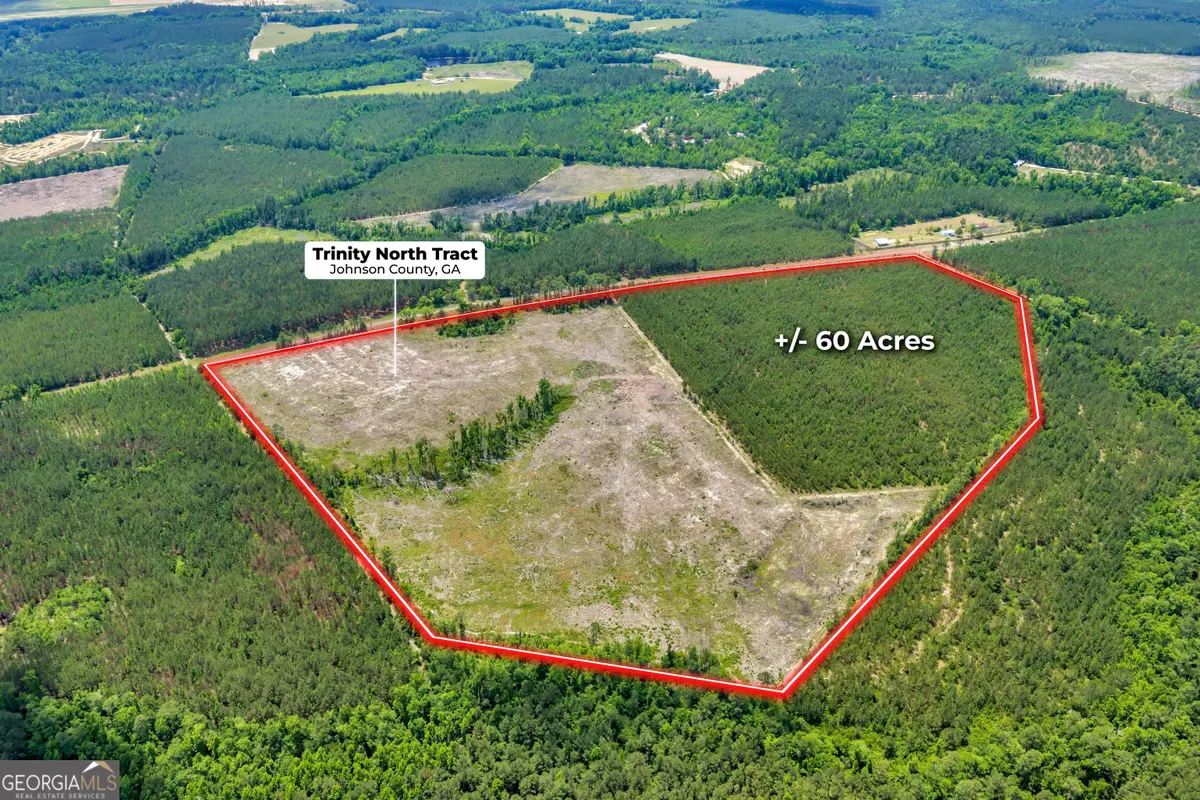 0 Trinity North, Kite, GA 31009 - #1
