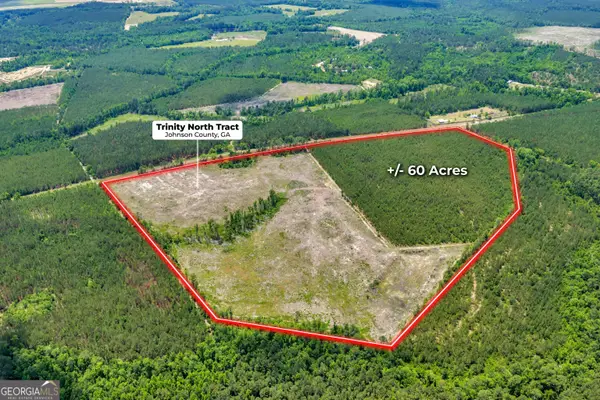 0 Trinity North, Adrian, GA 31009