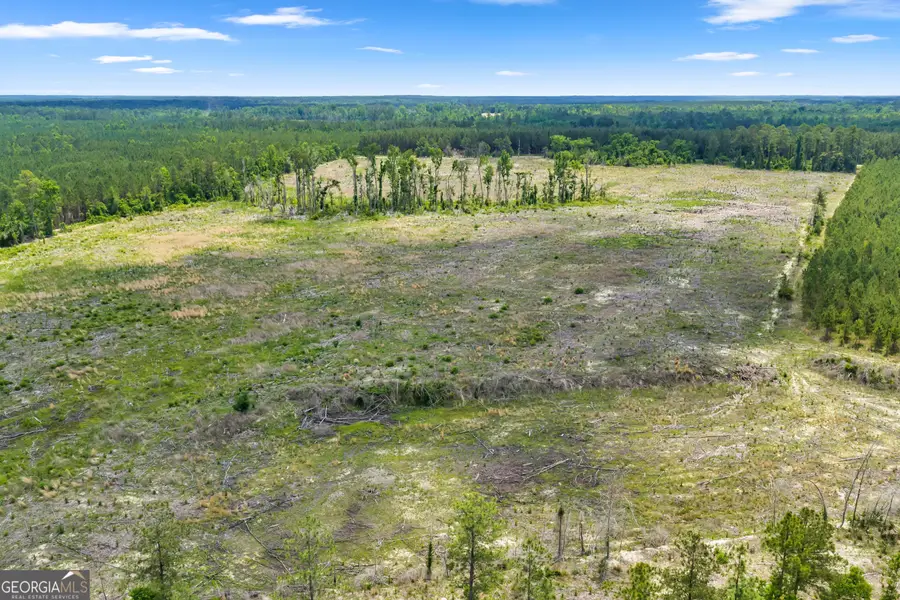 0 Trinity North, Kite, GA 31009 - #2