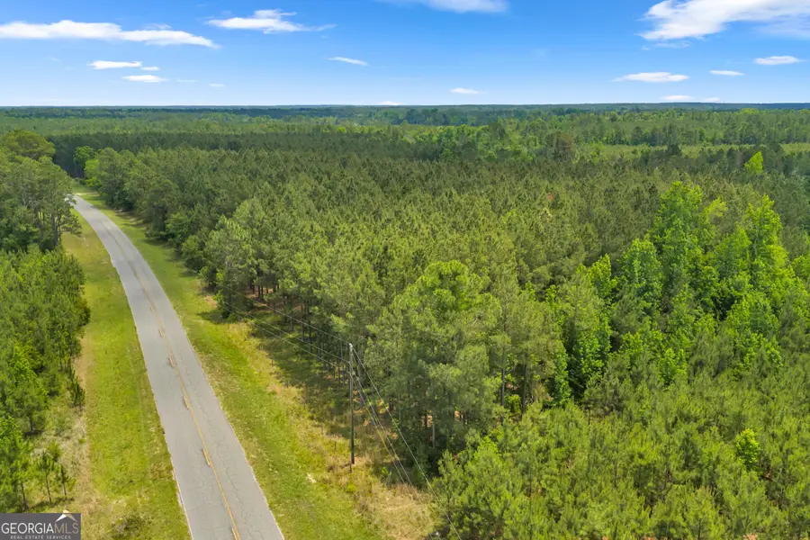 1 Trinity South, Kite, GA 31049 - #3