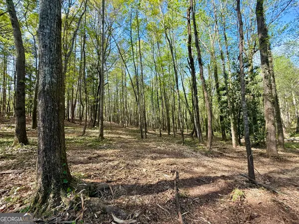 422 Parkway Drive, Toccoa, GA 30577