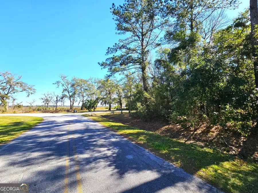0 Bristol Hammock Circle, Kingsland, GA 31548 - #3