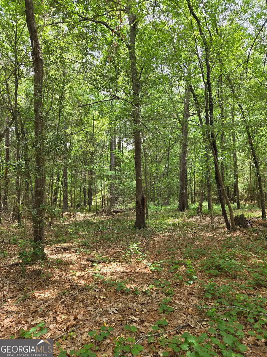 6045 Cara Drive, Macon, GA 31216 - #2