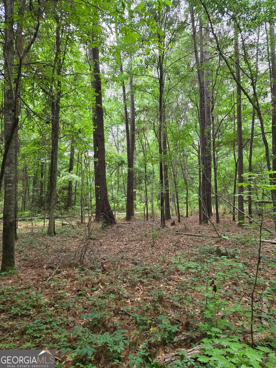 6045 Cara Drive, Macon, GA 31216 - #3