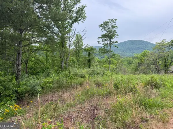 LOT 7D Meadow View Lane, Cleveland, GA 30528
