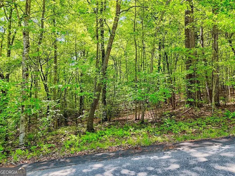 LOTS 3&5 Cozy Cove Road, Blairsville, GA 30512 - #3