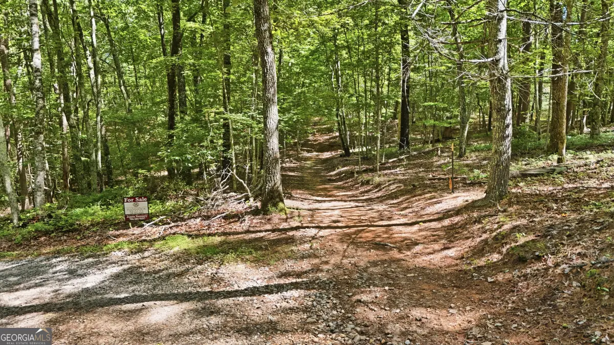95 Black Bear Trail, Cleveland, GA 30528 - #1