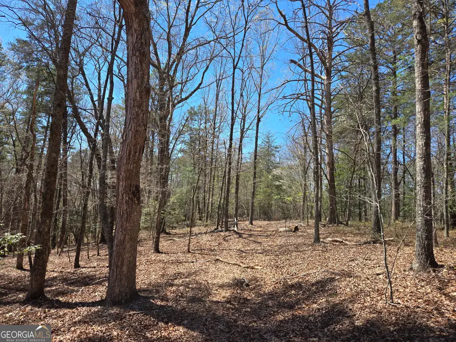 95 Black Bear Trail, Cleveland, GA 30528 - #2