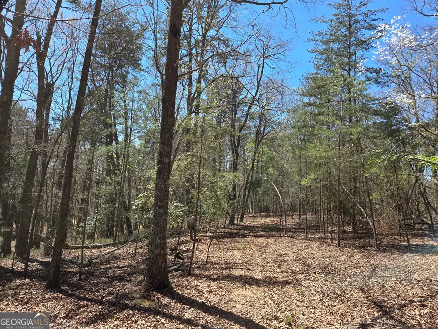 95 Black Bear Trail, Cleveland, GA 30528 - #3