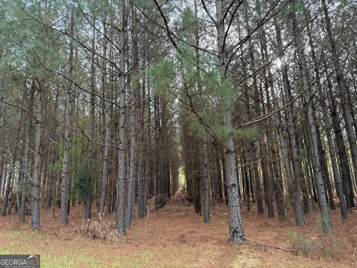 0 Center Hill School Road, Crawfordville, GA 30631 - #1