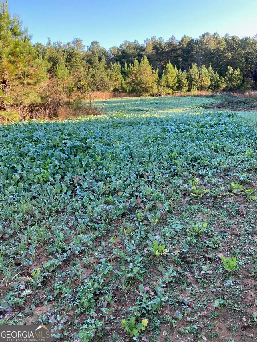 0 Center Hill School Road, Crawfordville, GA 30631 - #3