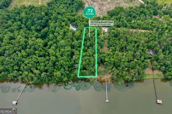 473 Vining Branch Road, Georgetown, GA 39854