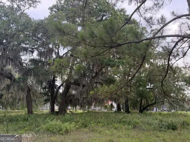 119 Sapelo Circle #LOT 38, Darien, GA 31305 - #1