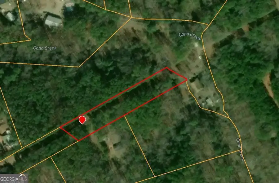 1105 Reavis Road, Ball Ground, GA 30107 - #2