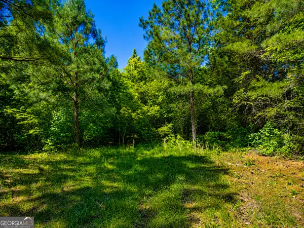 5 ACRES Stanfield Drive, LaFayette, GA 30728