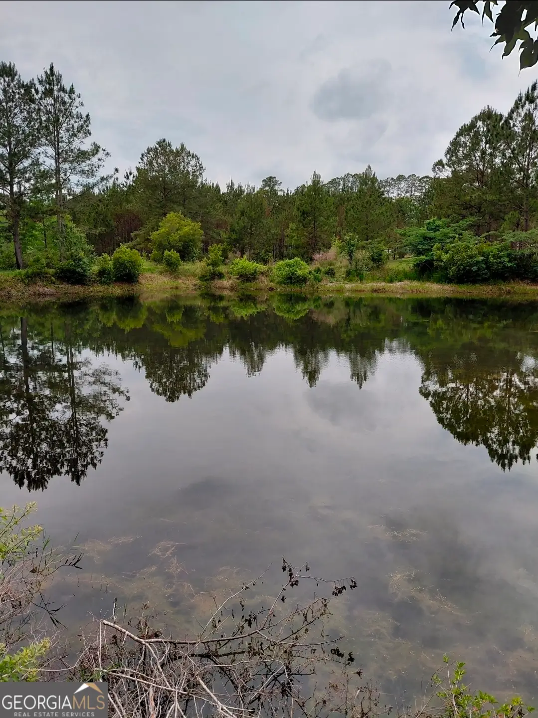 436 Russell Boulevard #ACRES 21.45, Saint George, GA 31562 - #1
