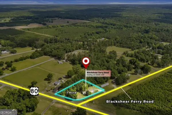 1295 Blackshear Ferry Road, Dudley, GA 31022