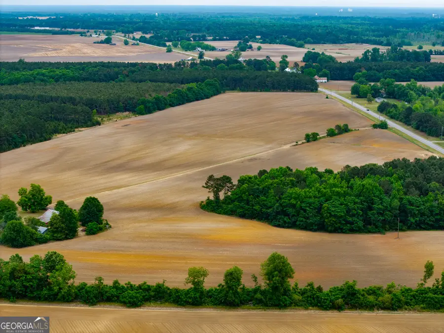 1.1 Highway 80, Stapleton, GA 30823 - #2