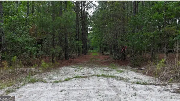 0 Duck Pond Road, sylvania, GA 30467