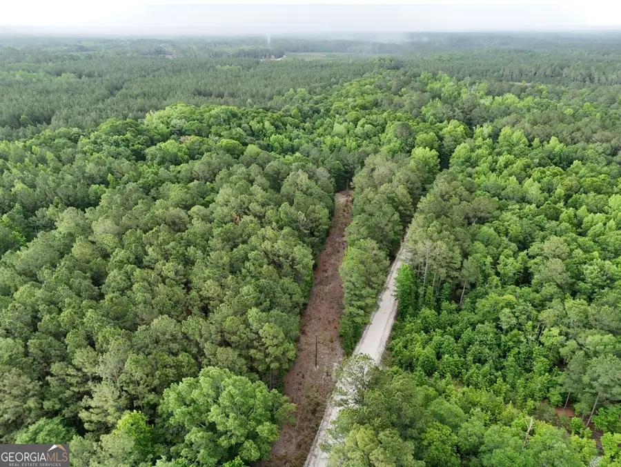 0 Duck Pond Road, Sylvania, GA 30467 - #2