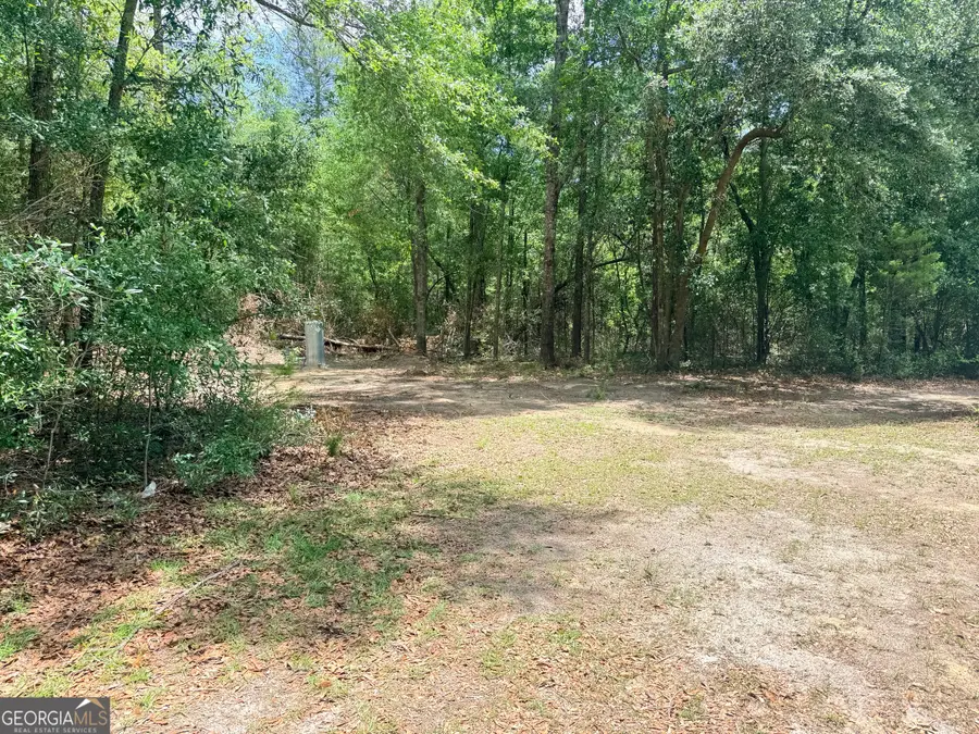 563 Kendricks Road, Brooklet, GA 30415 - #3